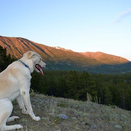 Spirit Lake Lodge Whitehorse Bagian luar foto