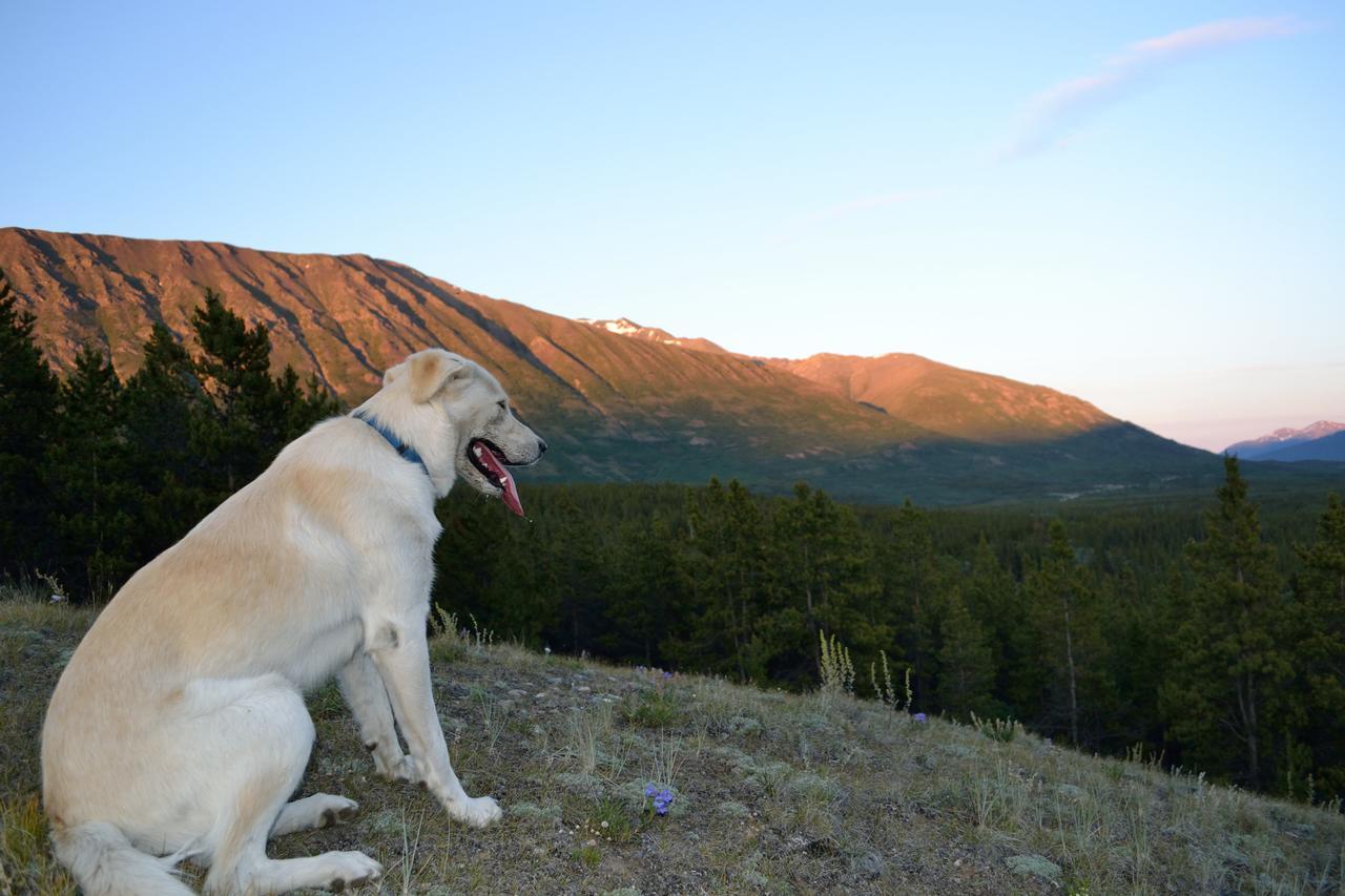 Spirit Lake Lodge Whitehorse Bagian luar foto